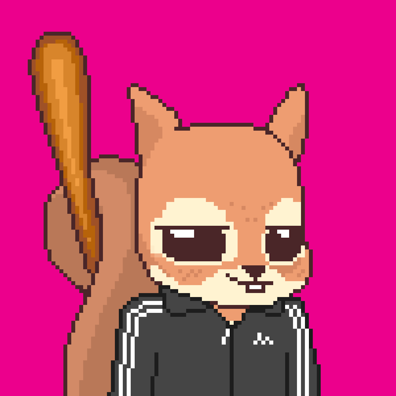 Pixel Squirrels #8447